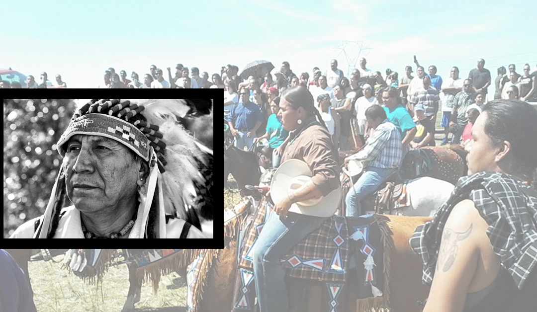 Chief Arvol Looking Horse #168