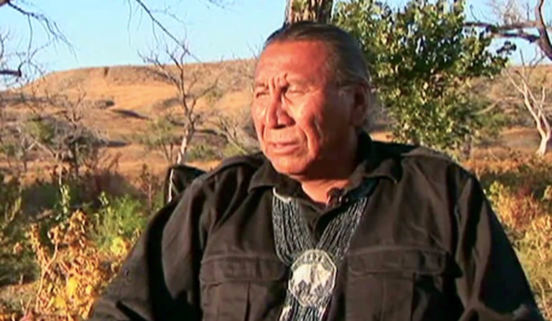 Chief Arvol Looking Horse #261